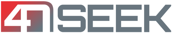 Logo 4NSEEK